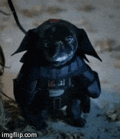 每日GIF(2020-10-27)的gif-Star Wars Dog GIF