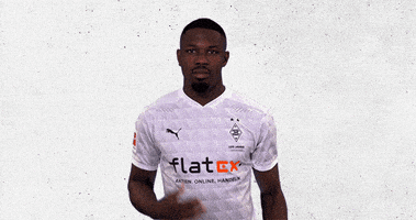 每日GIF(2020-10-28)的gif-Bmg Diefohlen GIF by Borussia Mönchengladbach