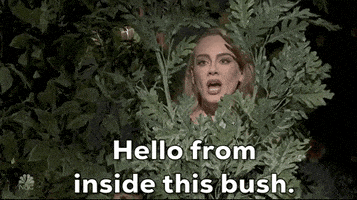 每日GIF(2020-10-28)的gif-Snl Adele GIF by Saturday Night Live