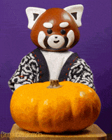 每日GIF(2020-10-29)的gif-Stop Motion Halloween GIF