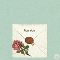 每日GIF(2020-10-30)的gif-Cat Day Hallmarkecardscheck GIF by Hallmark Gold Crown