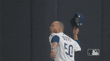 每日GIF(2020-10-30)的gif-Major League Baseball Win GIF by MLB