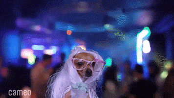 每日GIF(2020-10-30)的gif-Night Out Dancing GIF by Cameo