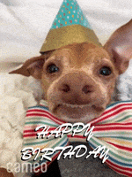 每日GIF(2020-10-30)的gif-Celebrate Happy Birthday GIF by Cameo