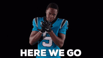 每日GIF(2020-10-30)的gif-Happy Lets Go GIF by Carolina Panthers