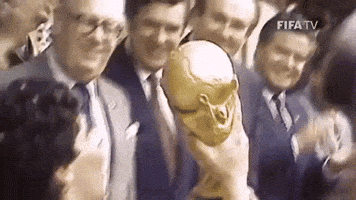 每日GIF(2020-10-31)的gif-Happy Diego Maradona GIF by FIFA