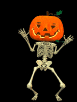每日GIF(2020-11-01)的gif-Jack O Lantern Halloween GIF