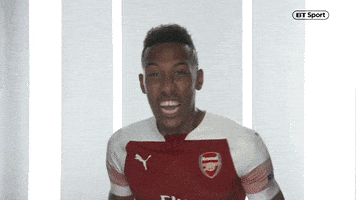 每日GIF(2020-11-02)的gif-Happy Premier League GIF by BT Sport