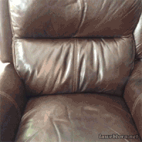 每日GIF(2020-11-02)的gif-Weekend Chilling GIF