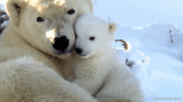 每日GIF(2020-11-02)的gif-Get Well Reaction GIF