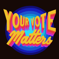 每日GIF(2020-11-02)的gif-Vote Voting GIF by NdubisiOkoye