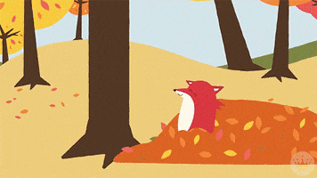 每日GIF(2020-11-02)的gif-Fox Fall Back GIF by Hallmark Gold Crown