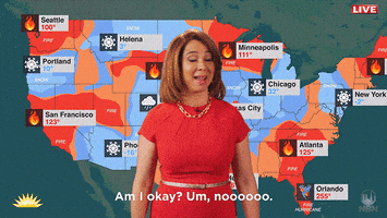 每日GIF(2020-11-03)的gif-I Am Not Okay Maya Rudolph GIF by NETFLIX