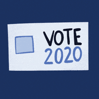 每日GIF(2020-11-04)的gif-Election Day GIF by Lo Harris