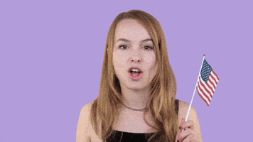 每日GIF(2020-11-04)的gif-Vote Now Election 2020 GIF by Bridgit Mendler