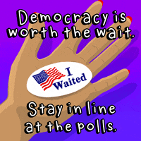 每日GIF(2020-11-04)的gif-Vote Early GIF by INTO ACTION