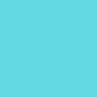 每日GIF(2020-11-04)的gif-Voting Election Day GIF by bubly