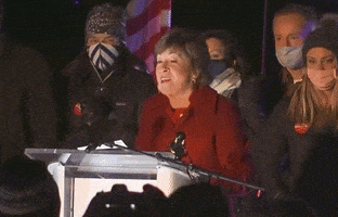 每日GIF(2020-11-05)的gif-2020 Election GIF by Election 2020