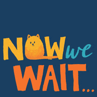 每日GIF(2020-11-05)的gif-Vote Now Election 2020 GIF by INTO ACTION