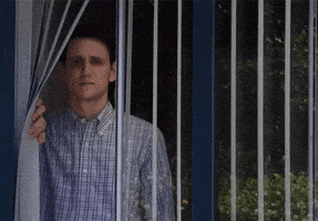 每日GIF(2020-11-05)的gif-Meme Reaction GIF by Silicon Valley