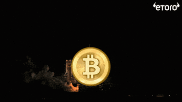 每日GIF(2020-11-06)的gif-To The Moon Bitcoin GIF by eToro