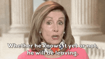 每日GIF(2020-11-07)的gif-Nancy Pelosi GIF by GIPHY News