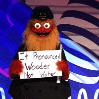 每日GIF(2020-11-07)的gif-Ice Hockey GIF by NHL
