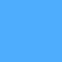 每日GIF(2020-11-07)的gif-Right To Vote Election 2020 GIF by Creative Courage