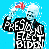 每日GIF(2020-11-08)的gif-Election 2020 Democrat GIF by Creative Courage