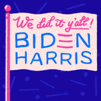 每日GIF(2020-11-08)的gif-Election 2020 GIF by Creative Courage