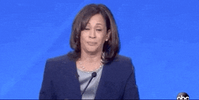 每日GIF(2020-11-08)的gif-Now President Trump You Can Go Back To Watching Fox News GIF by GIPHY News