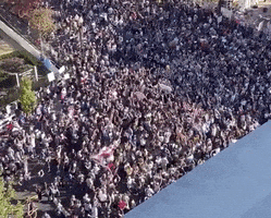 每日GIF(2020-11-08)的gif-White House Ymca GIF by GIPHY News
