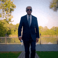 每日GIF(2020-11-09)的gif-Election 2020 Hello GIF by Joe Biden