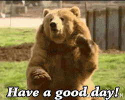 每日GIF(2020-11-10)的gif-Bear Have A Good Day GIF