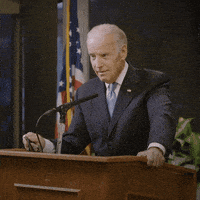 每日GIF(2020-11-10)的gif-Election 2020 Reaction GIF by Joe Biden