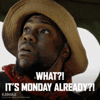 每日GIF(2020-11-10)的gif-No Way What GIF by Jumanji: The Next Level