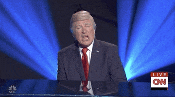 每日GIF(2020-11-10)的gif-Donald Trump Snl GIF by Saturday Night Live