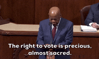 每日GIF(2020-11-10)的gif-Voting Rights Vote GIF by GIPHY News