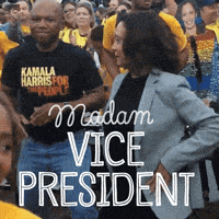 每日GIF(2020-11-10)的gif-Election 2020 GIF by Creative Courage