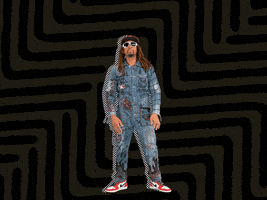 每日GIF(2020-11-12)的gif-GIF by Lil Jon