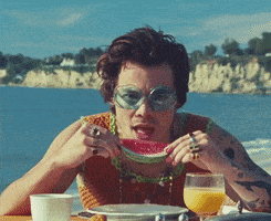 每日GIF(2020-11-12)的gif-Watermelon Sugar GIF by Harry Styles