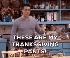 每日GIF(2020-11-13)的gif-Season 8 Thanksgiving GIF by Friends