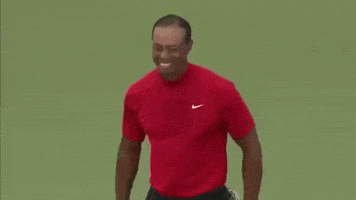 每日GIF(2020-11-13)的gif-Tiger Woods Sport GIF by Sports GIFs