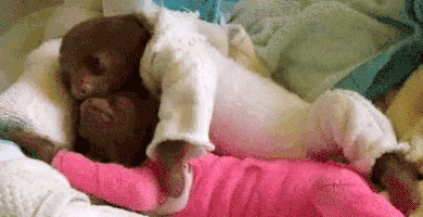 每日GIF(2020-11-13)的gif-Couple Reaction GIF