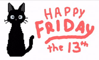每日GIF(2020-11-14)的gif-Black Cat GIF by Nebraska Humane Society
