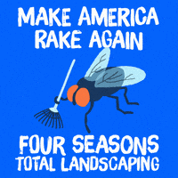 每日GIF(2020-11-14)的gif-Raking Donald Trump GIF by Creative Courage