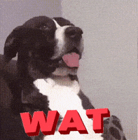 每日GIF(2020-11-15)的gif-Wtf GIF by MOODMAN