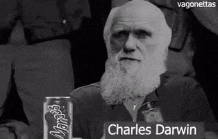 每日GIF(2020-11-15)的gif-Evolution Reaction GIF by MOODMAN