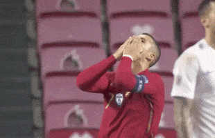 每日GIF(2020-11-15)的gif-No Way Omg GIF