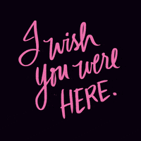 每日GIF(2020-11-16)的gif-Miss You Love GIF by Denyse®